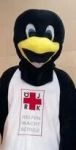 pinguin_2024-06-13